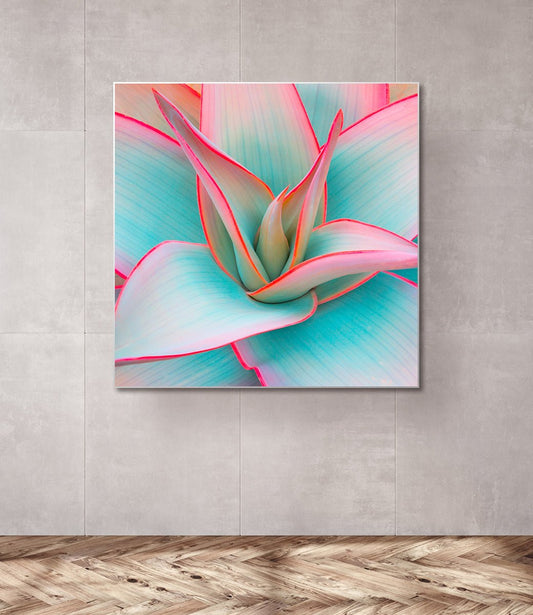 Akustikbild "Agave Leaves" - Primex