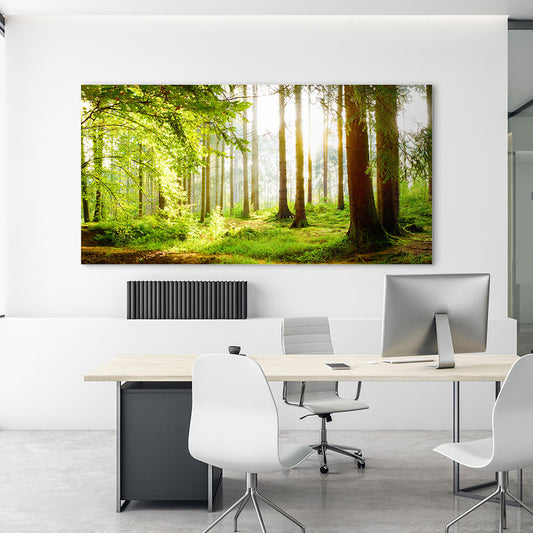 Akustikbild in verschiedenen Größen mit schönem Waldmotiv. Schallabsorber der Klasse A vom Akustikbild Hersteller