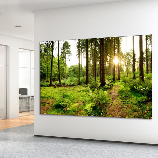 Akustikbild mit deutschem Waldmotiv im elegantem Aluminiumrahmen und Textildruck. Schallabsorber der Klasse A vom Akustikbild Hersteller aus Deutschland.