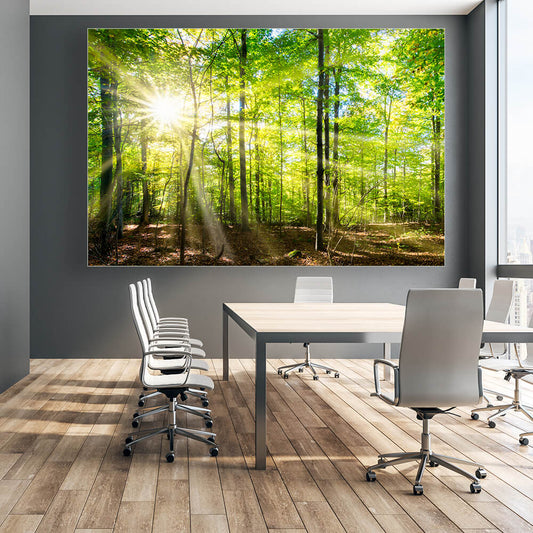 Akustikbild mit Waldmotiv in einem Büro hängend. Schallabsorber der Klasse A im elegantem Aluminiumrahmen mit Textildruck