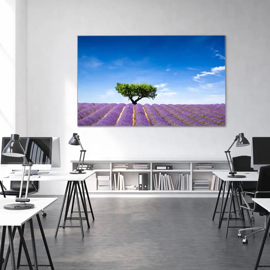 Ein Textilspannrahmen im lim Design von Primex mit einem Lavendelfeld Motiv schafft eine entspannte Atmosphäre in einem Großraumbüro.