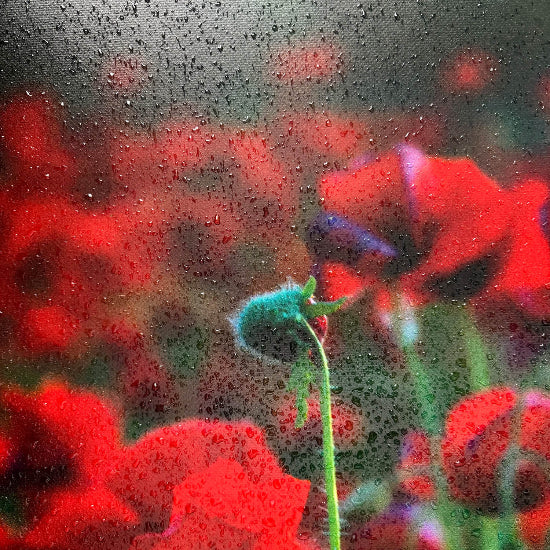 PVC-Plane-Digitaldruck-Aussenwerbung