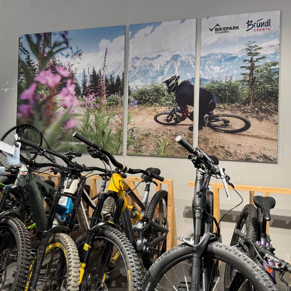 Textilspannrahmen 19 mm mit Mountainbike-Motiv als Wandbild im Fahrradladen.