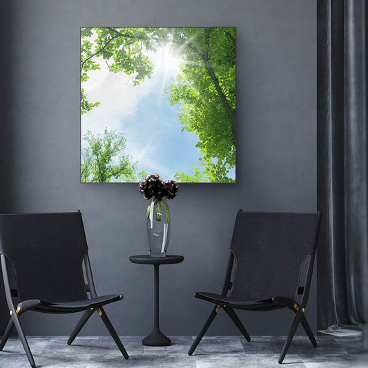 Quadratisches Akustikbild eines Fotos des Himmels zwischen Baumkronen an einer dunkelgrauen Wand