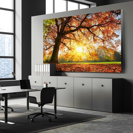 Rechteckiges herbstliches Akustikbild einer sonnenbeschienenen Lichtung an der Wand eines Büros