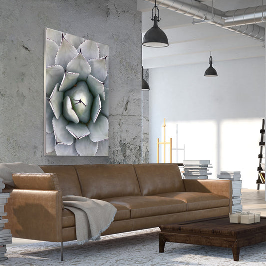 Rechteckiges Akustikbild mit Makroaufnahme einer Sukkulente über einem braunen Ledersofa