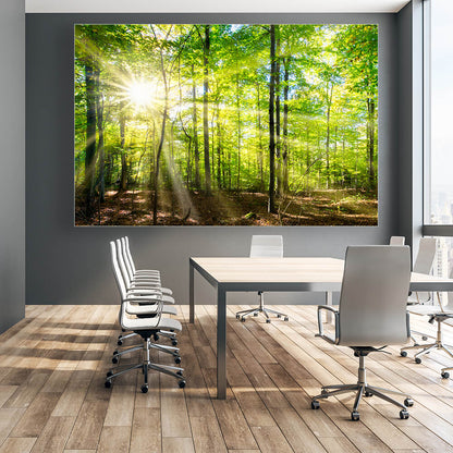 Akustikbild mit Waldmotiv in einem Büro hängend. Schallabsorber der Klasse A im elegantem Aluminiumrahmen mit Textildruck