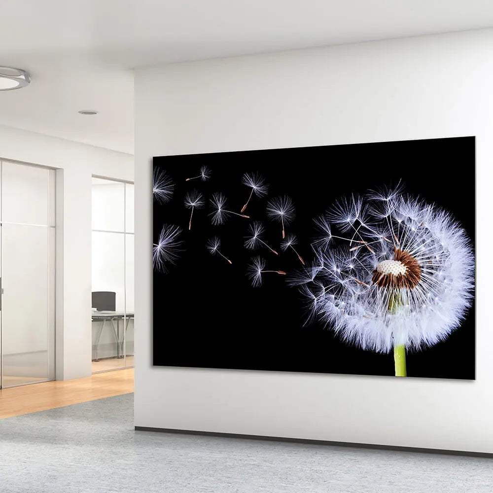 Akustikbild mit Pusteblumen Motiv als Schallabsorber im Büro Office
