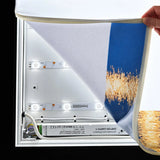 LUMMEA® Pro - Lichtwand Primex