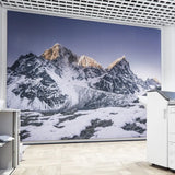 Akustikbild XXL Wandverkleidung im Büro - Referenz Primex