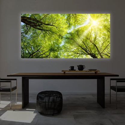 Essbereich mit Holztisch und Stühlen, an der Wand ein LED-Wandbild als Flächenlicht mit von unten fotografierten Bäumen, grünem Blätterdach und Sonnenstrahlen.