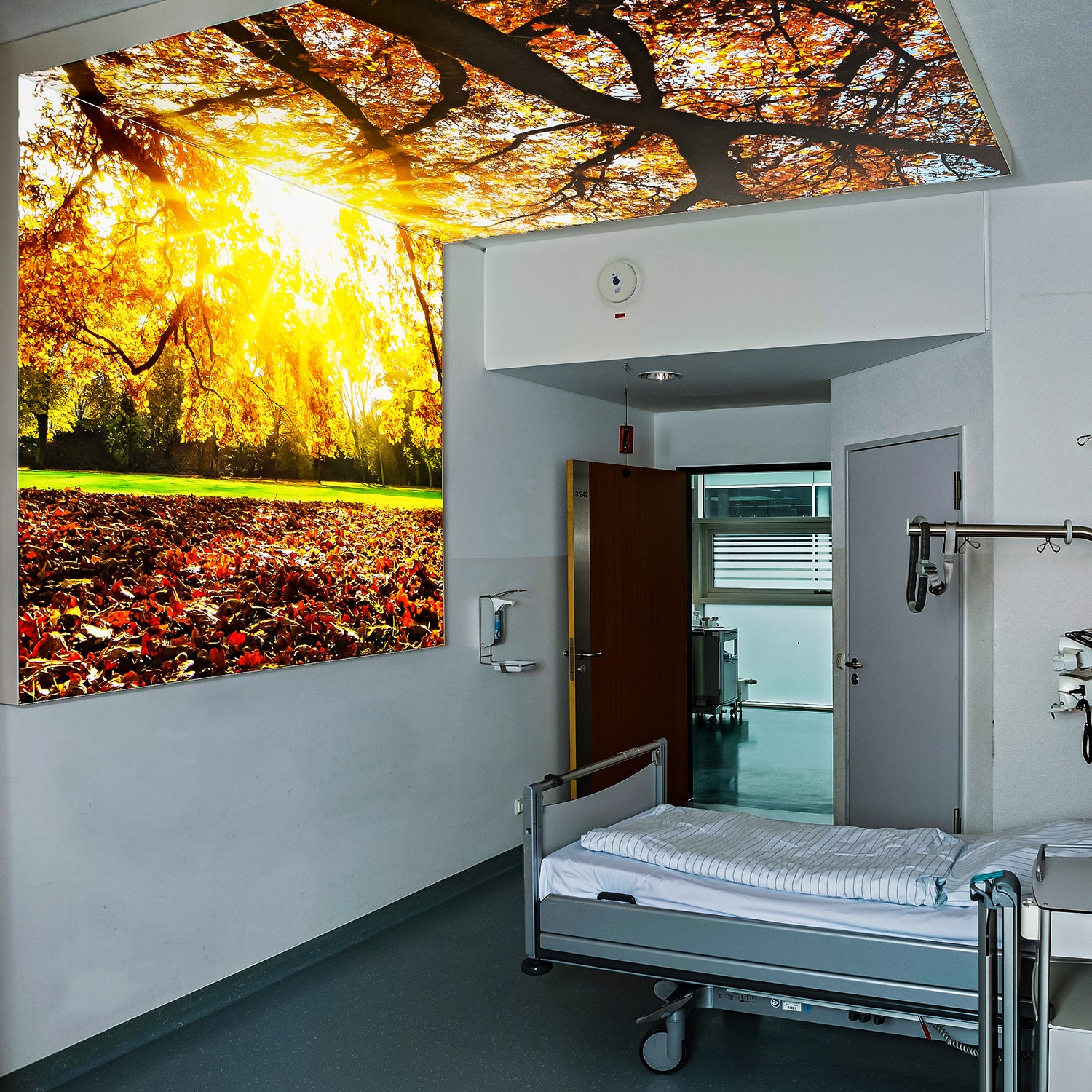 Beleuchteter Textilspannrahmen mit Naturmotiv, der im Krankenhauszimmer um die Ecke von Wand zur Decke verläuft und eine freundliche Atmosphäre schafft.