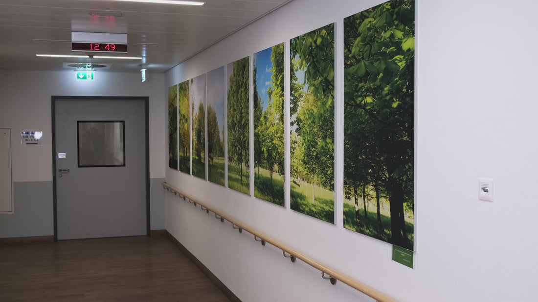 Video des Klinikums Darmstadt nach dem Einbau von Akustiklösungen. Gezeigt werden die installierten Akustiksysteme in den Innenräumen des Klinikums.
