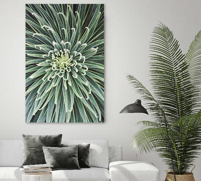 Modernes Wohnzimmer mit großformatigem Akustikbild einer grünen Blüten- oder Pflanzenstruktur über einem weißen Sofa, daneben eine hohe Zimmerpflanze.