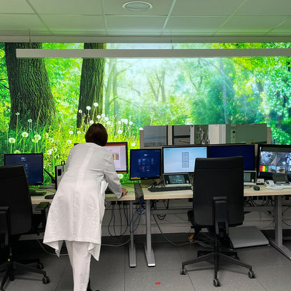 Büro im Medizinbereich mit LED-Lichtwand mit Waldmotiv.