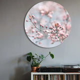 Runder Akustikbild mit zarten rosa Kirschblüten vor verschwommenem Hintergrund, über einem Regal mit Zimmerpflanze, Plattenspieler und Büchern.