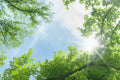 Himmel 1
