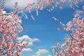 Himmel 3