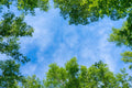 Himmel 5