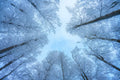 Himmel 6