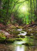Wald 1