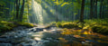 Wald 7