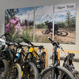 Textilspannrahmen 19 mm mit Mountainbike-Motiv als Wandbild im Fahrradladen.